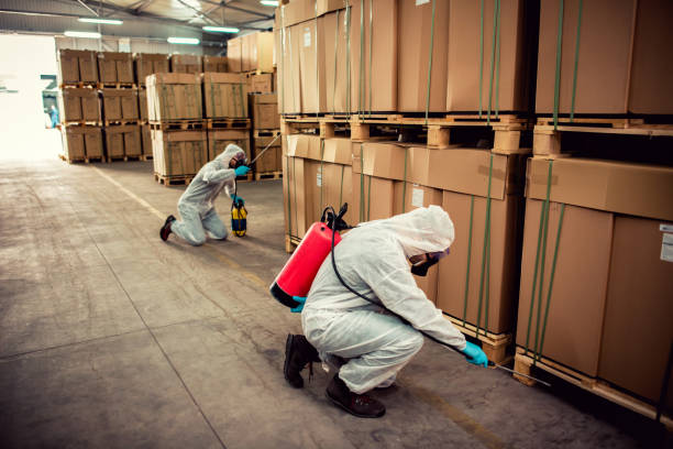 Best Pest Removal Services  in South Roxana, IL