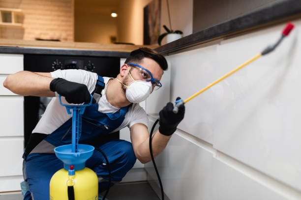 Best Local Pest Control Services  in South Roxana, IL