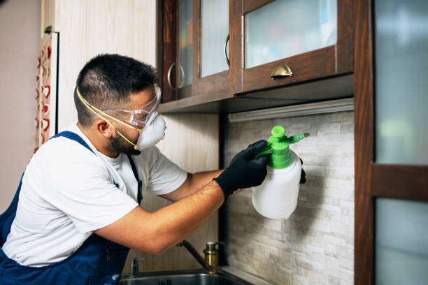 Best Residential Pest Control  in South Roxana, IL