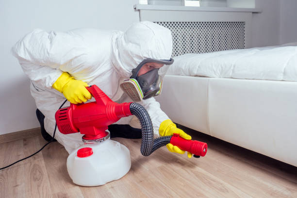 Best Termite Control Services  in South Roxana, IL