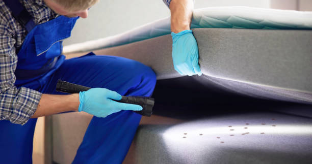 Reliable South Roxana, IL Pest Control Solutions