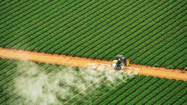 Best Pest Control for Businesses  in South Roxana, IL