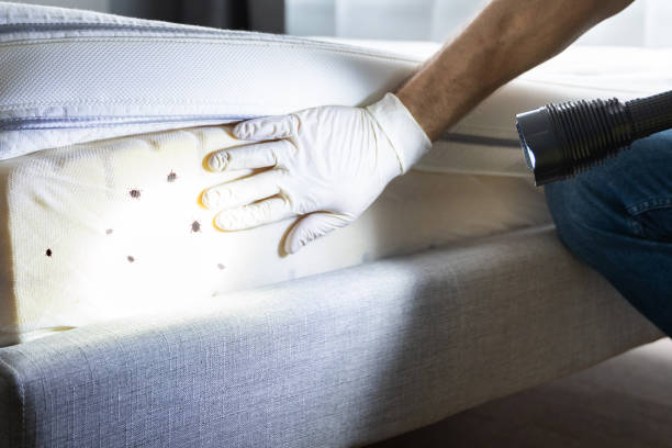 Best Pest Inspection Near Me  in South Roxana, IL