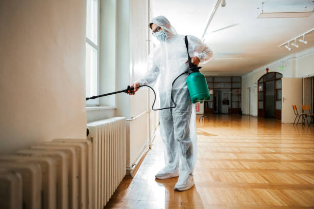 Best Wasp Removal Services  in South Roxana, IL