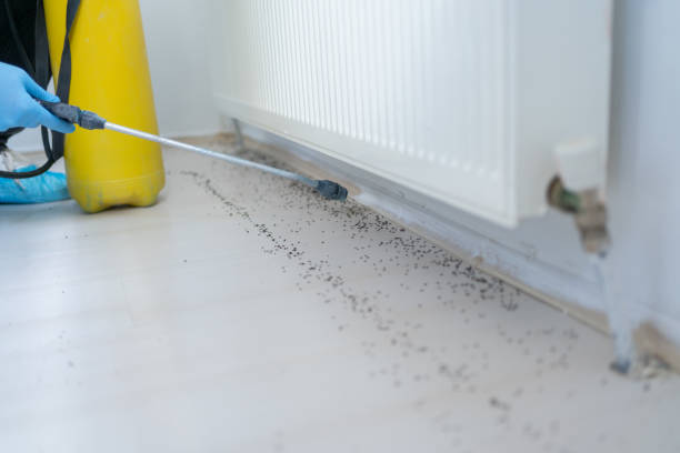 Best Exterminator Services  in South Roxana, IL