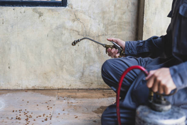Best Pest Inspection Near Me  in South Roxana, IL
