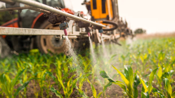 Best Pest Prevention Services  in South Roxana, IL